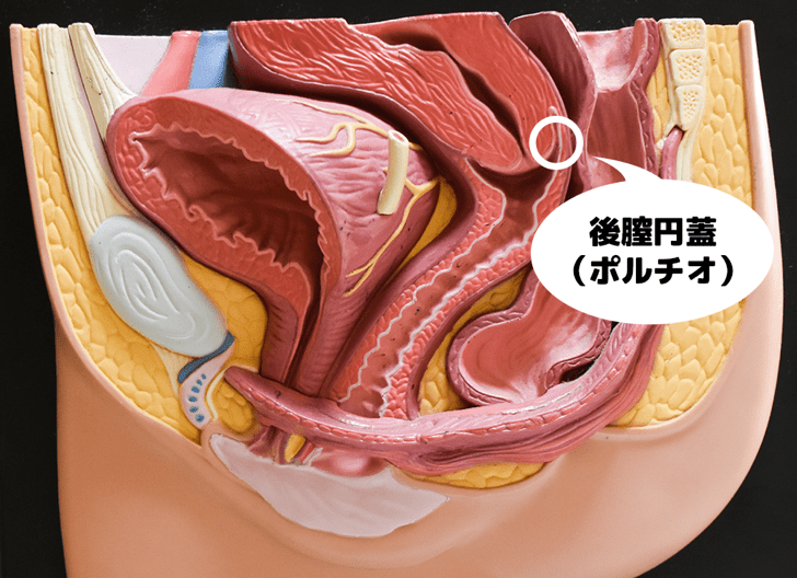 オリジナル】絶頂すると記憶が消えるし感覚遮断だし - 同人誌