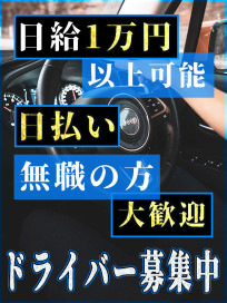 奈良県のパイパンデリヘル嬢ランキング｜駅ちか！