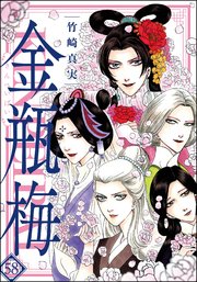 あひる道楽: はじめての「金瓶梅」 4 『金瓶梅』を読んでみよう!