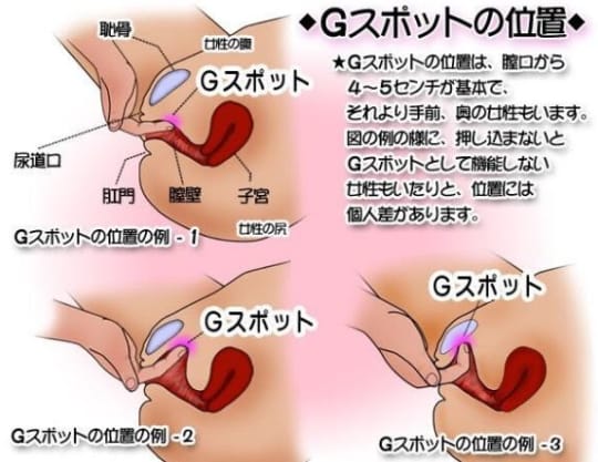 膣探検で膣の隅々まで知り尽くせ！ | 悪魔の性典