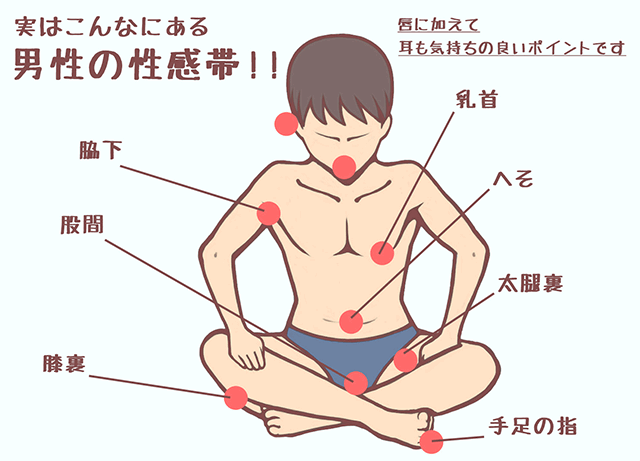 風俗嬢必見！知っておきたい男性の性感帯とその攻め方 - 成功ノウハウの指名編｜びーねっと