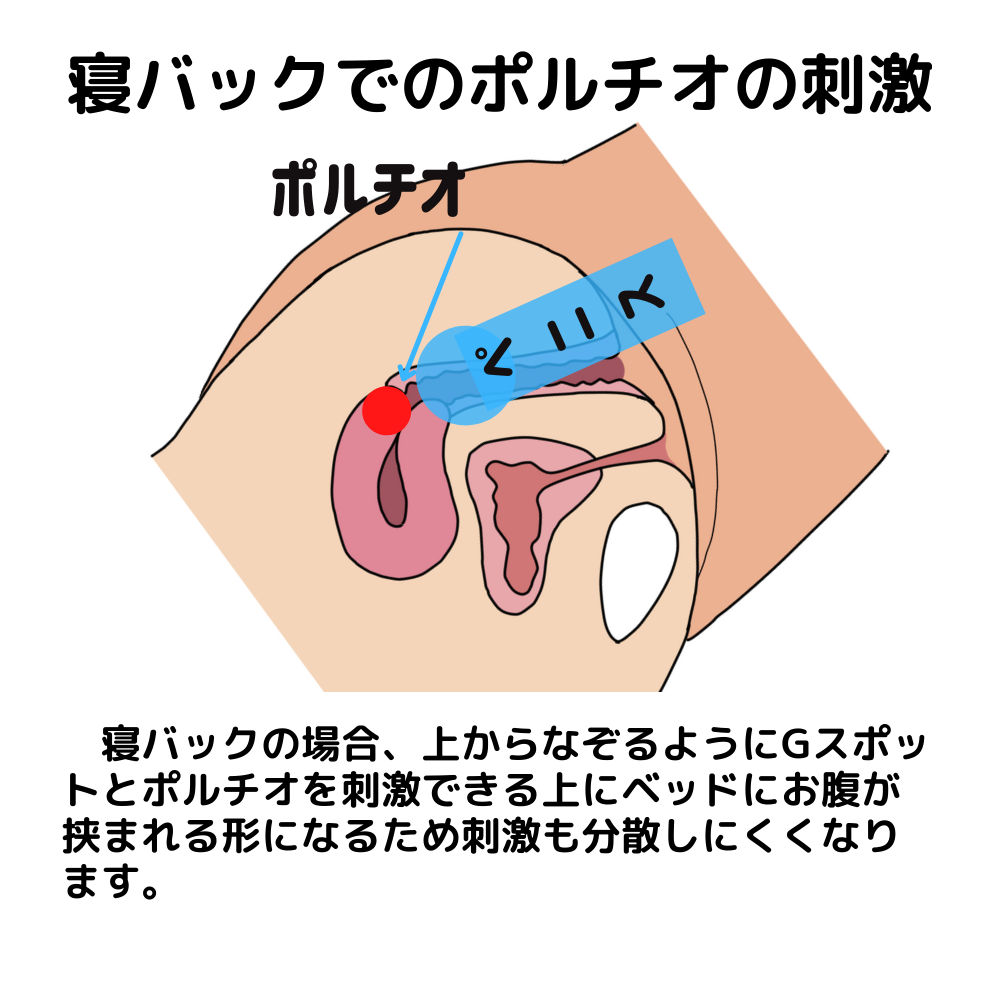 男性が知るべきバックのコツ３選】 - 性癖マッチンコラム