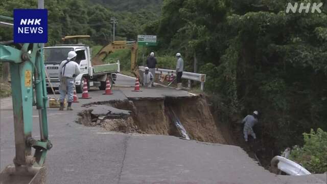 柿園再生の遺志継ぐ 尾道柿園の大橋和也さん（40）＝広島県尾道市御調町【ポートレート@びんご】|47NEWS（よんななニュース）