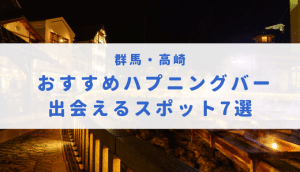 ハプニングバー（ハプバー）熊本でエロプレイ - ハプニングバー アグリーアブル