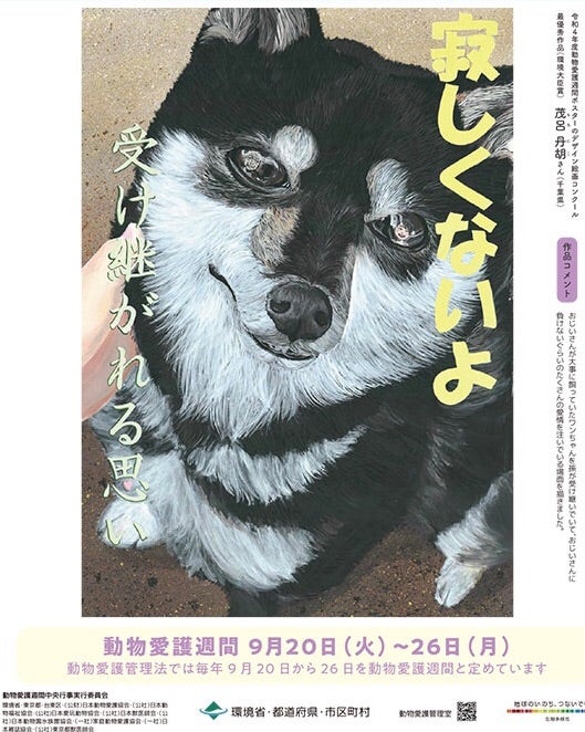 週刊地震情報 2024.6.16 山形県で震度2の地震