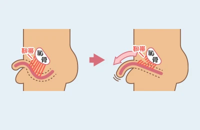 検証】デブのチンコが小さい噂は本当？肥満と短小の関係10つ | STERON