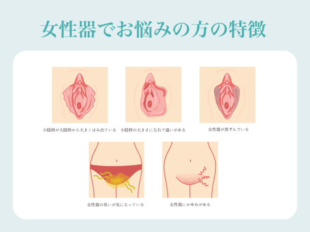 キレイな女性器の特徴は？見た目を整える方法やメリットも解説 | 銀座マイアミ美容外科