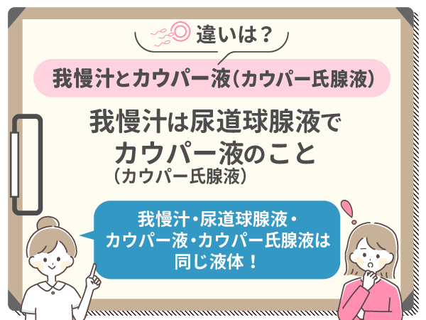 完全保存版】我慢汁とは？妊娠のリスクやたくさん出すための３つのテクニックまで徹底解説！」｜comingout.tokyo（2021/02/26）：  なぜ糸を引くのかというとオクラや納豆と同じネバネバ｜学術秘書