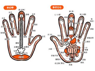 エコパークあぼし姫路市立網干環境学習センター健康増進センター「リフレ・チョーサ」 | Welmap姫路 -