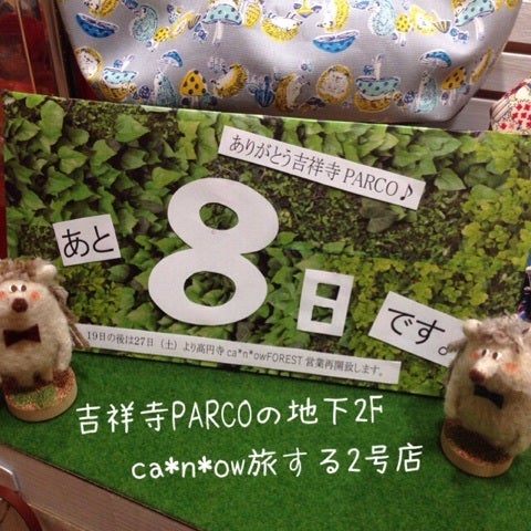 高円寺でうんまいガパオライスに出会ってしまった、、！🤯 先月オープンしたp.i 