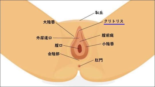 セックスのプロに聞いた！女性を喜ばせる最高の前戯 – メンズ形成外科 | 青山セレス&船橋中央クリニック