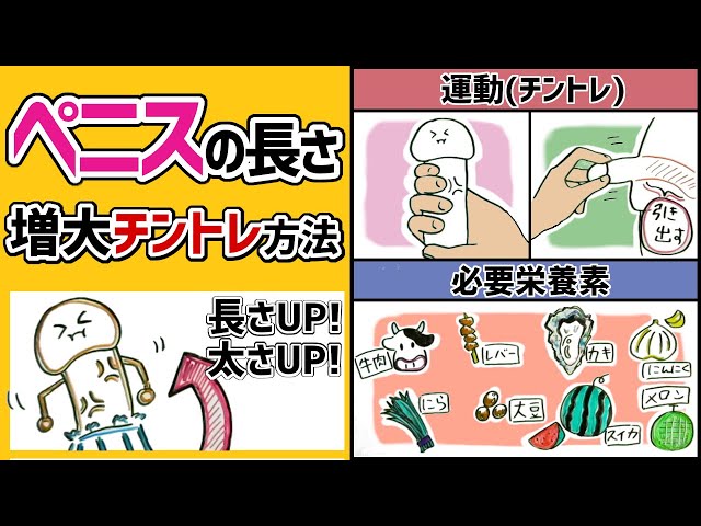 自力チントレでチンコをデカくする方法７選【完全図解版】 | イケオジの嗜み