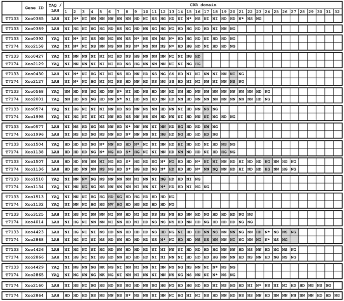 Sulfondiimidamides unlocked as new S(VI)