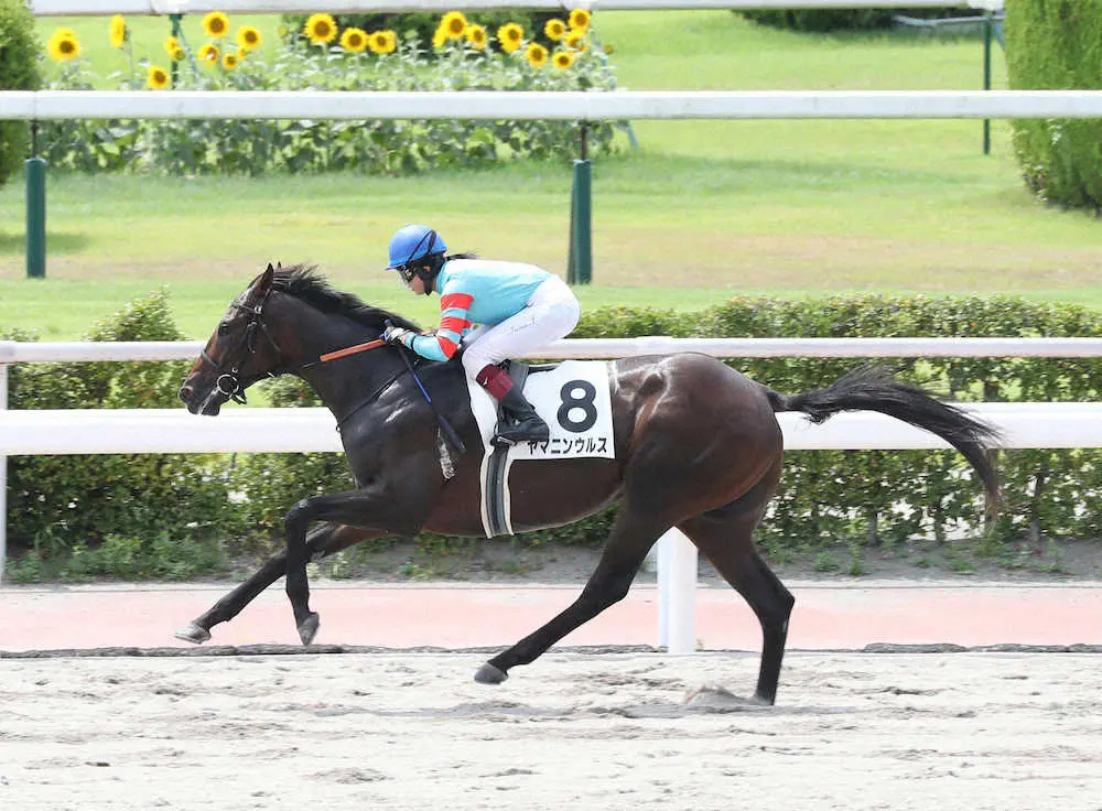 9/23うのスタ運動会を開催します（参加者募集開始） – 釜石鵜住居復興スタジアム｜Kamaishi Unosumai