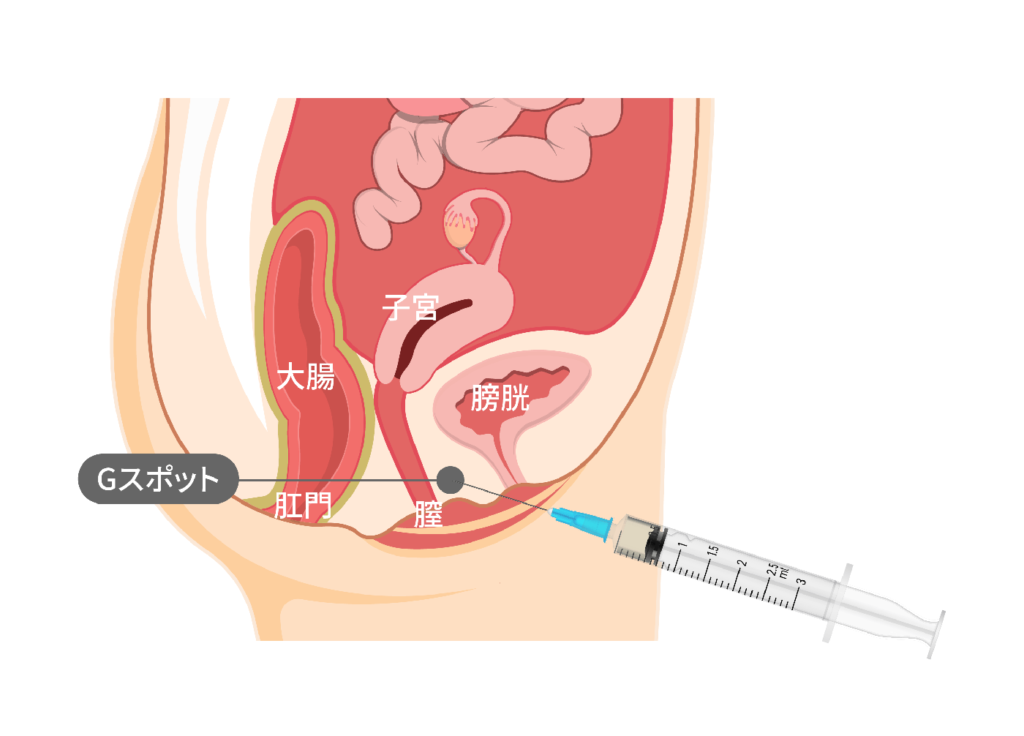 中イキ（膣イキ）のやり方とは？ Gスポット開発のコツを詳しく解説 | シンデレラグループ公式サイト