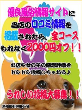 兵庫｜ぽっちゃりOK・おデブさん向け風俗求人｜ぽっちゃりバニラで高収入バイト