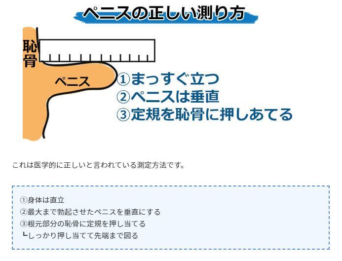 カリ高ペニスになる3つの方法！基準と測り方を徹底的に紹介します。 | VOLSTANISH