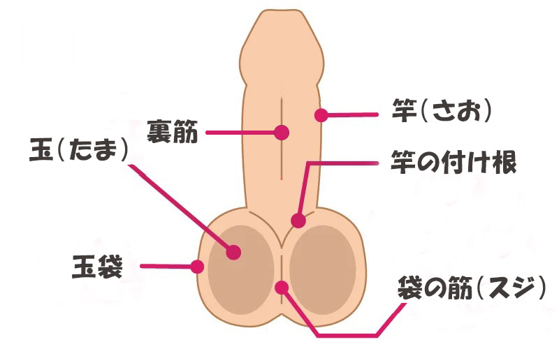 大森玲菜】睾丸が大好きでしょうがない痴女子校生の金玉舐め手コキ責め！