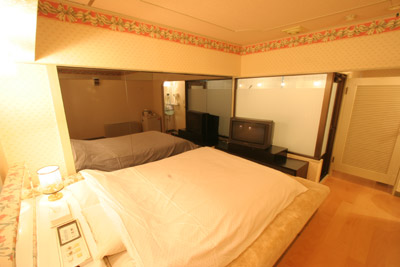 HOTEL ALAND 吉祥寺 から【