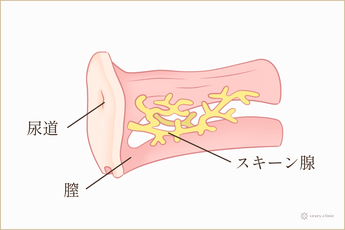 知らない人が多い？ 女性が「イク」時のサイン／ビッチ先生が教える一緒に気持ちよくなれるセックス講座⑦ |