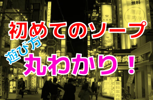 Amazon.co.jp: 童貞を卒業しに行ったソープで出会った年上のお姉さんとおれのどエロすぎて切ない初恋 篠田ゆう ムーディーズ [DVD]