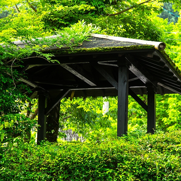 湯布院温泉 ひすいの宿 黎明