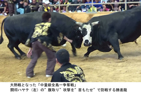 沖縄県黒砂糖協同組合代表理事 西村憲氏 表敬(令和5年5月9日)｜沖縄県公式ホームページ