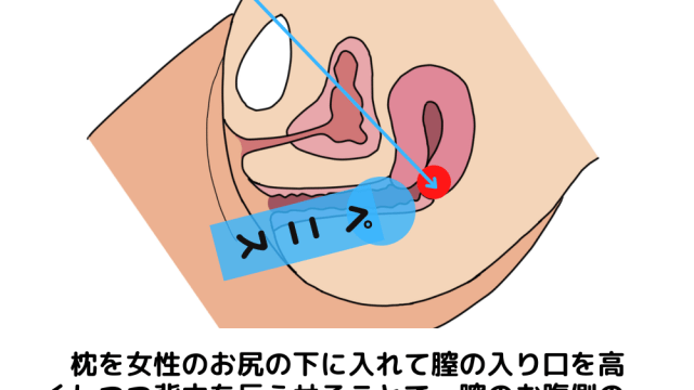 女性の好きなセックス体位は？ | 月の光