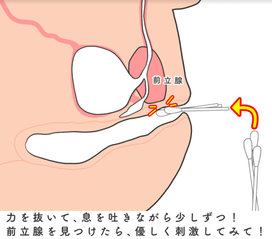 尿道バイブ】尿道振動でドライオーガズムを！ | アダルト通販品の乳首ネット