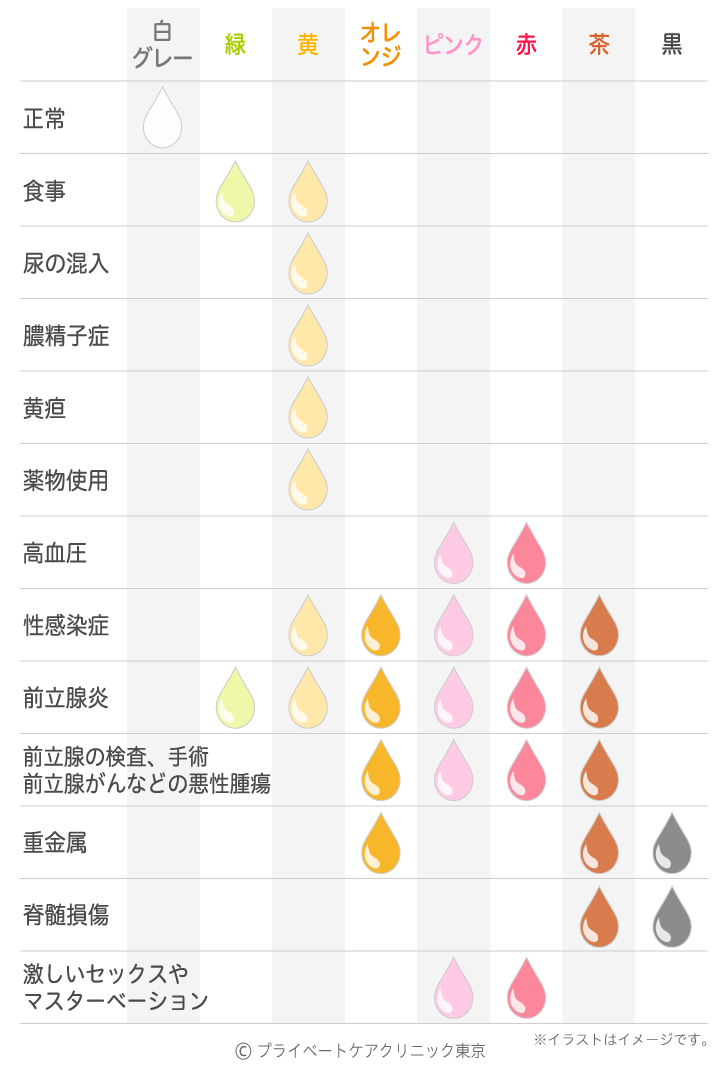 精液を飲みべきか？ 吐くべきか？ 健康への影響を検証｜メンズヘルス