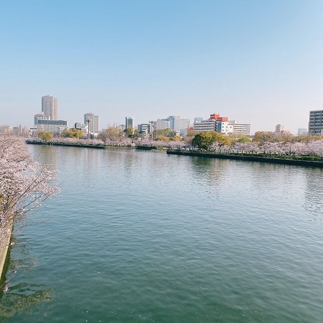 口コミ一覧 : 花殿 京橋京阪モール （ka-den）