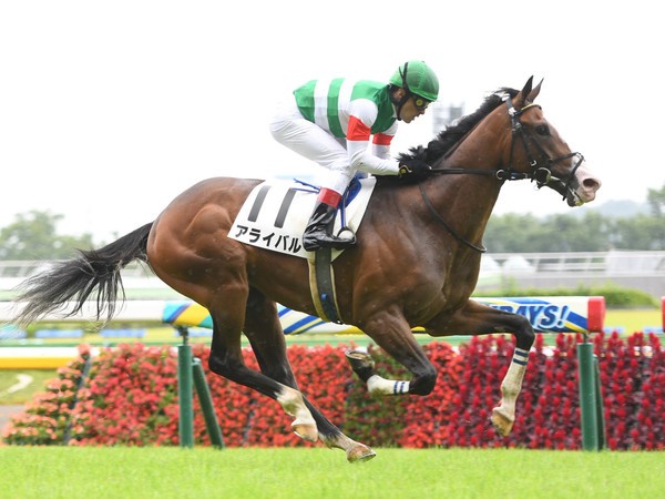 8433☆重賞レース回顧〜キーンランドカップ・新潟２歳ステークス〜 | 九頭馬(万事馬九行久)～Ver.16.12