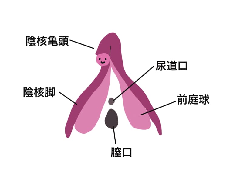 性感帯とは？女性の感じやすい場所や開発法 - 夜の保健室