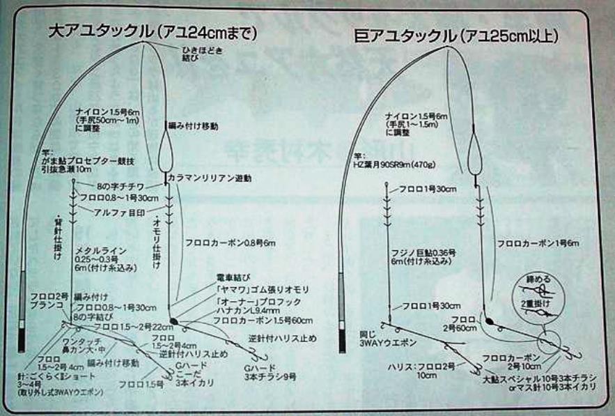 Amazon.co.jp: Fujino(フジノ) ライン 鮎コロガシ仕掛糸