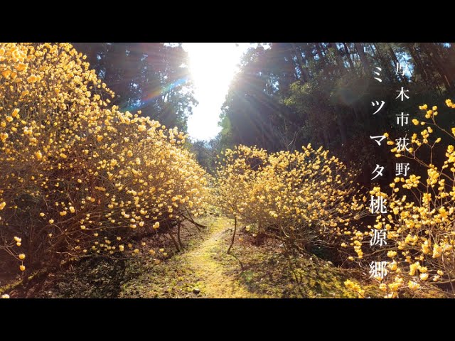 ホテル くちなし城 桃源郷