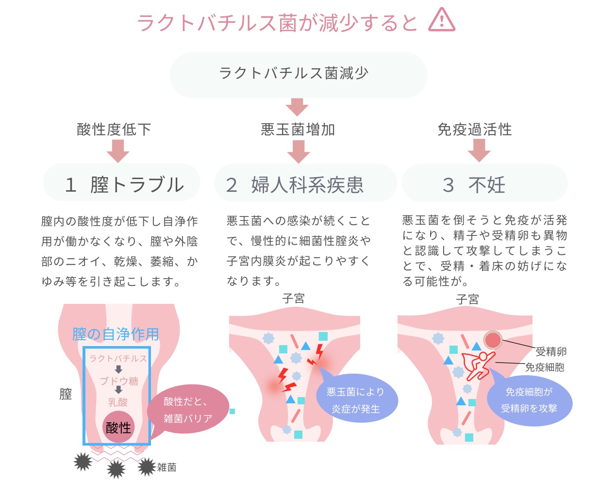 誘発性膣前庭炎（誘発性膣前庭痛） | 慢性痛治療の専門医による痛みと身体のQ＆A