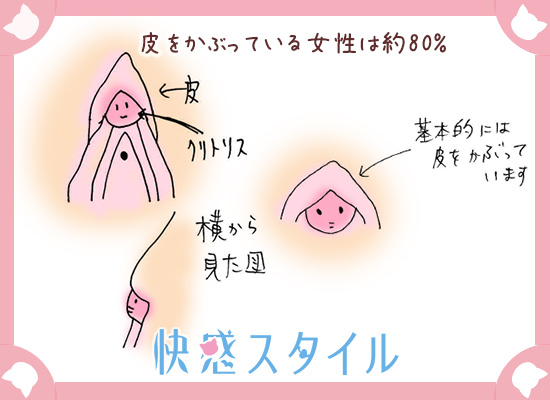 クリトリスにも勃起や包茎がある？ 仕組みやチェック方法を解説 ｜