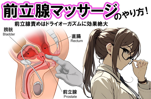 前立腺を見つける方法【コツとアドバイス】