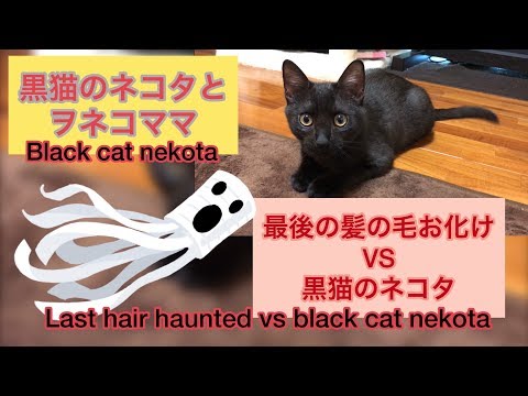 カインズ キャットタワー NECOTA