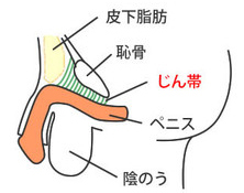 ちん撃の巨ちん | 写真で一言ボケて(bokete) -