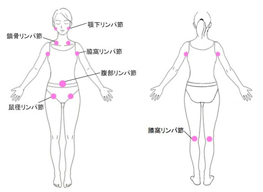 楽天市場】リンパマッサージ オイル プロ用