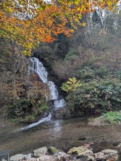 青森八戸デリヘル 月夜の桜 妖艶美熟女テクニシャン紫苑さん口コミ体験レポまとめ : 川崎そープオススメコンシュルジュ