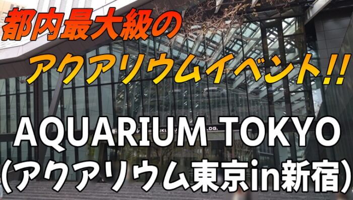 大混雑! でも行ってみたい、新宿御苑のお花見』新宿(東京)の旅行記・ブログ by