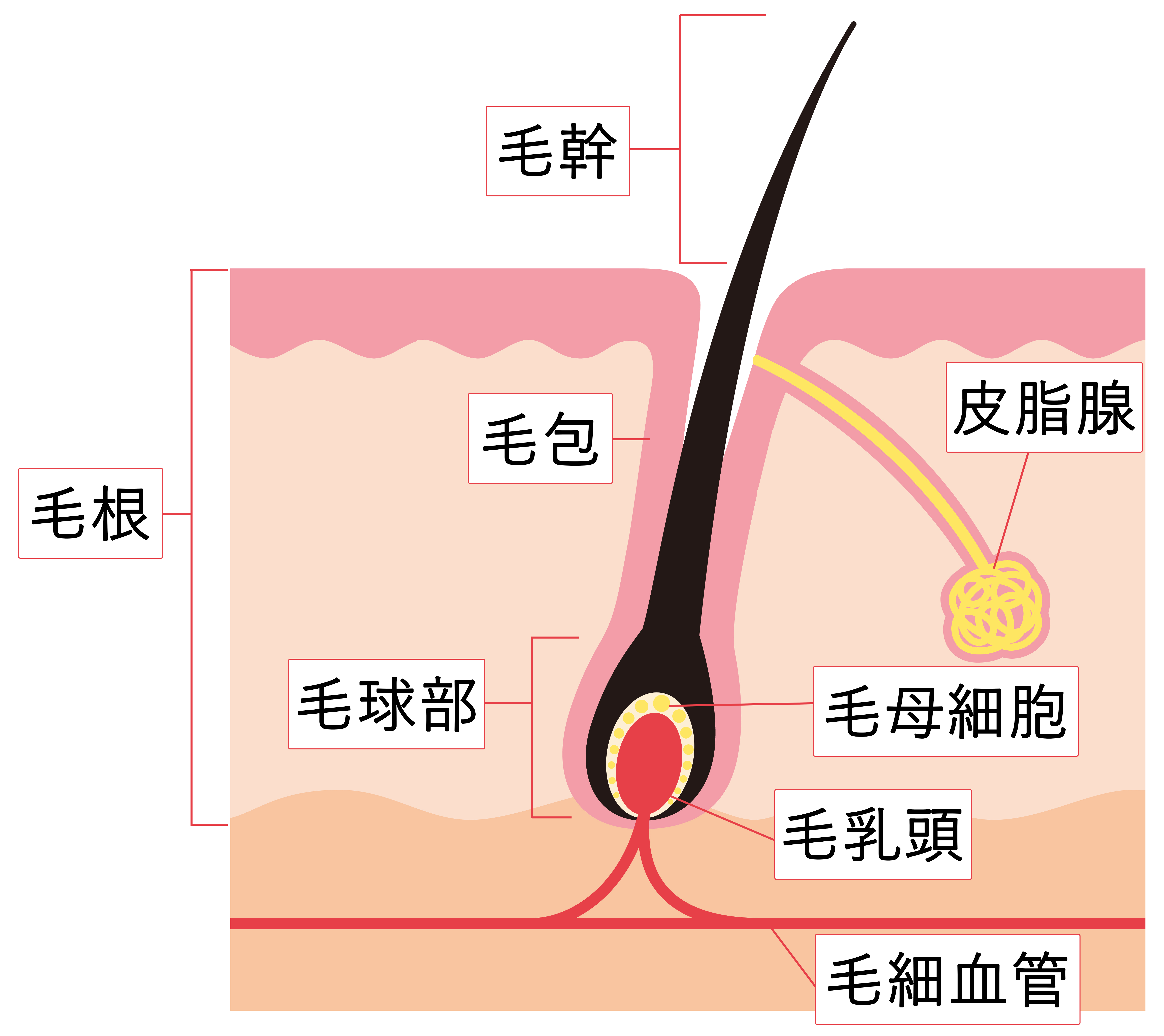 あご髭を抜くのが楽しい！髭抜きに潜む注意点や正しい自己処理方法を解説