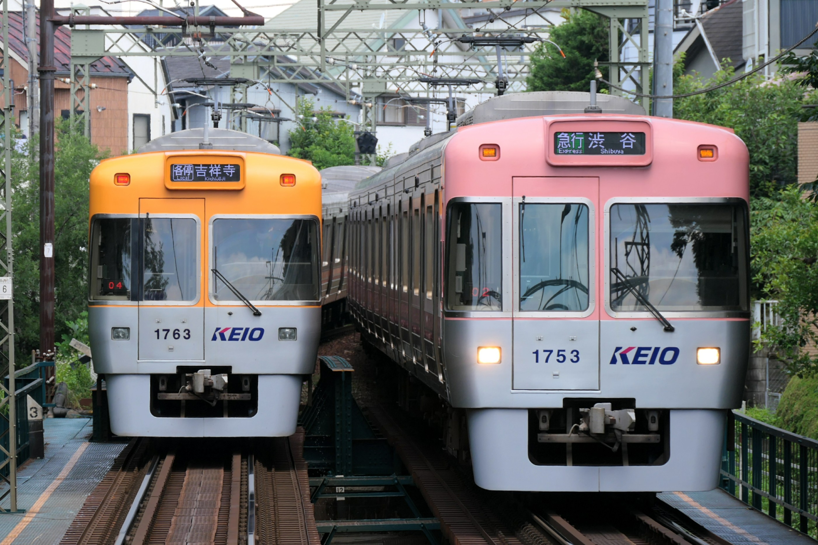 画像 | 京王井の頭線､四季の花咲く沿線と｢7色の電車｣ 桜咲く春や梅雨のアジサイ､稲穂実る秋の田園 |