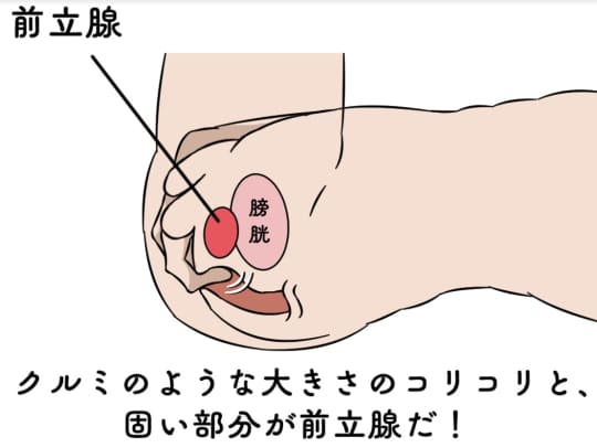 勃起は逆効果？】ちんこでケツイキさせる方法【アナルセックスの快感でイカす】 - エロいアナル大好き！アダルトアブノーマルな出会い