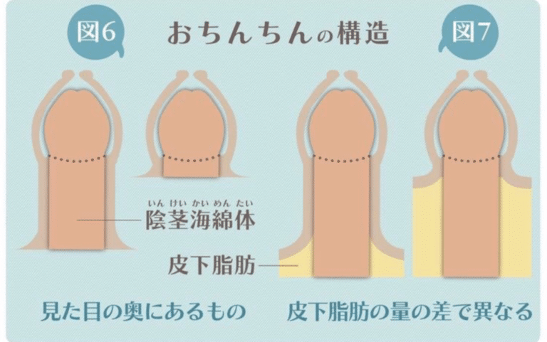 苦痛の質感が付く小さいペニスの印紙シールの刻印。角丸長方形と円で設計されています。グランジテクスチャを持つ小さなPENISテキストの青いベクトルゴムプリント。のイラスト素材・ベクター  Image 115092424