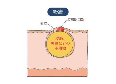 マスターベーションのしかたがわかりません | 一般社団法人