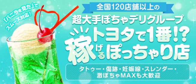 愛特急２００６ 三河店 / 豊田・岡崎・刈谷・安城のデリヘル