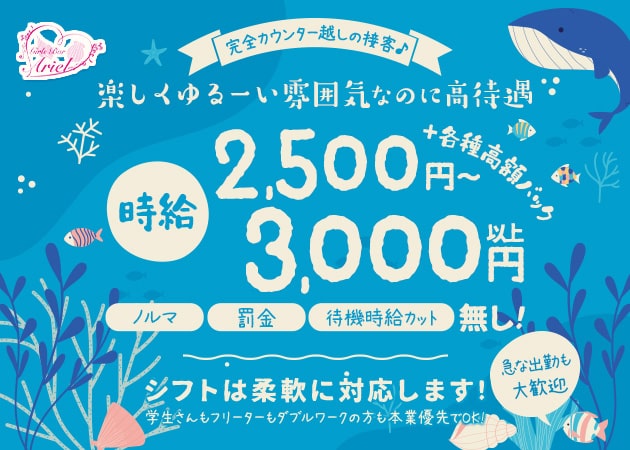 ぶるぅべりぃの公式求人情報 | ガールズバー・コンカフェ求人なら【体入がるる】